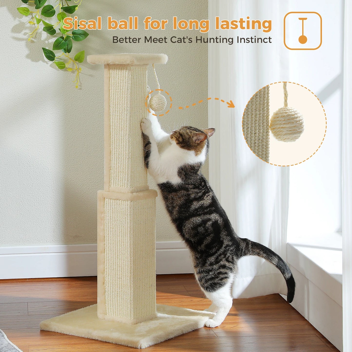 80cm Cat Scratching Post For Indoor Cats With Sisal Ball