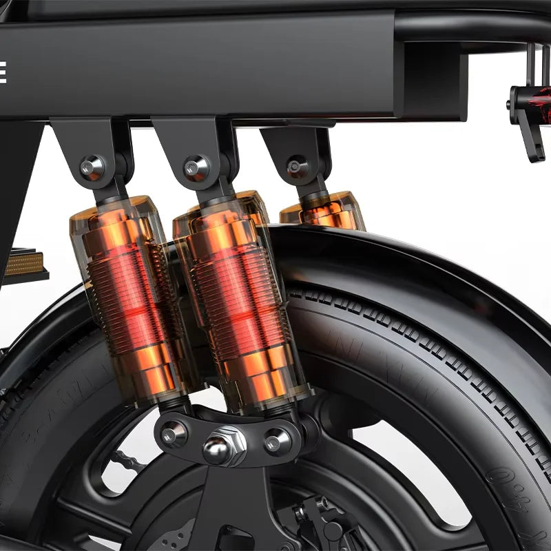 G16 Electric Bicycle 1000W Motor 48V 20Ah Battery Pack