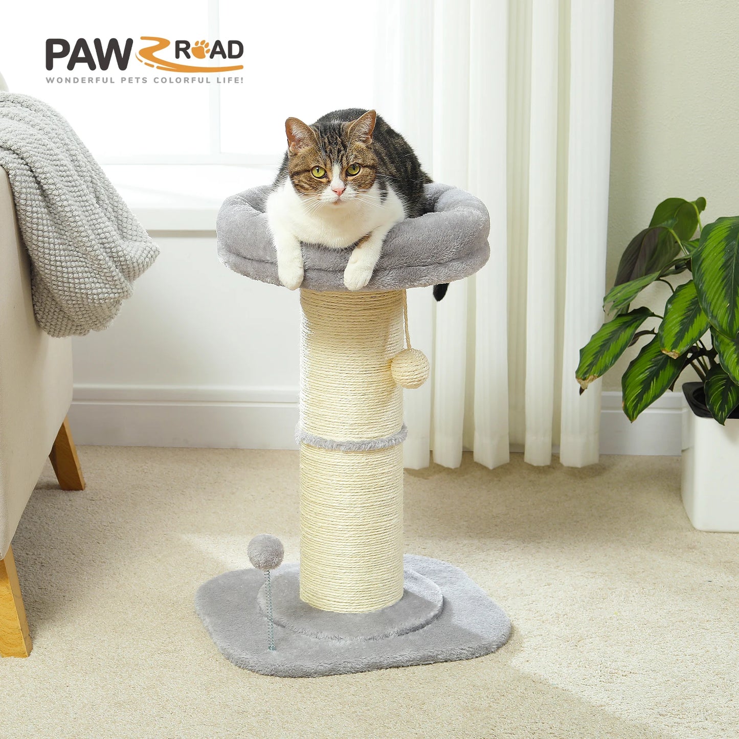 PAWZ Road Flower Cat Scratching Post With Removable Bed