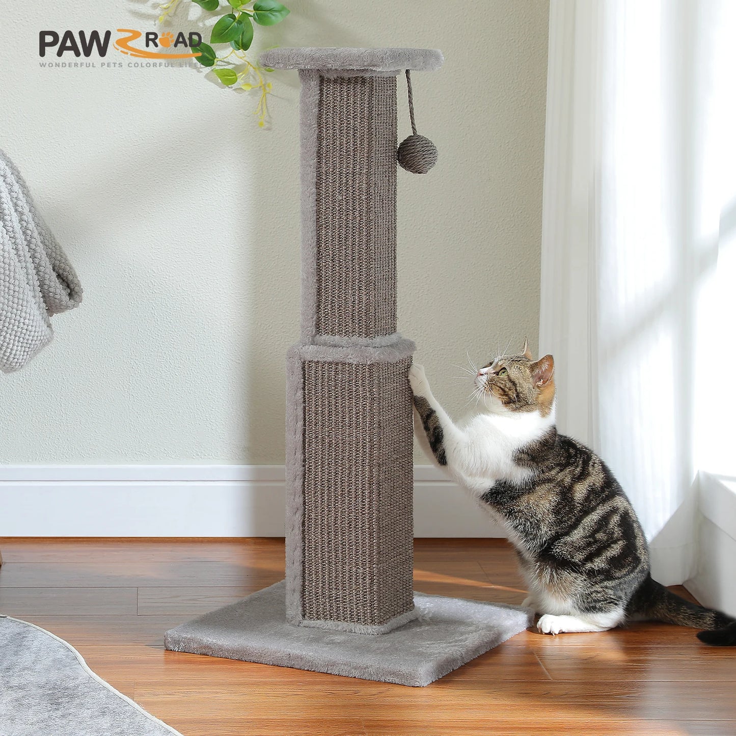 80cm Cat Scratching Post For Indoor Cats With Sisal Ball