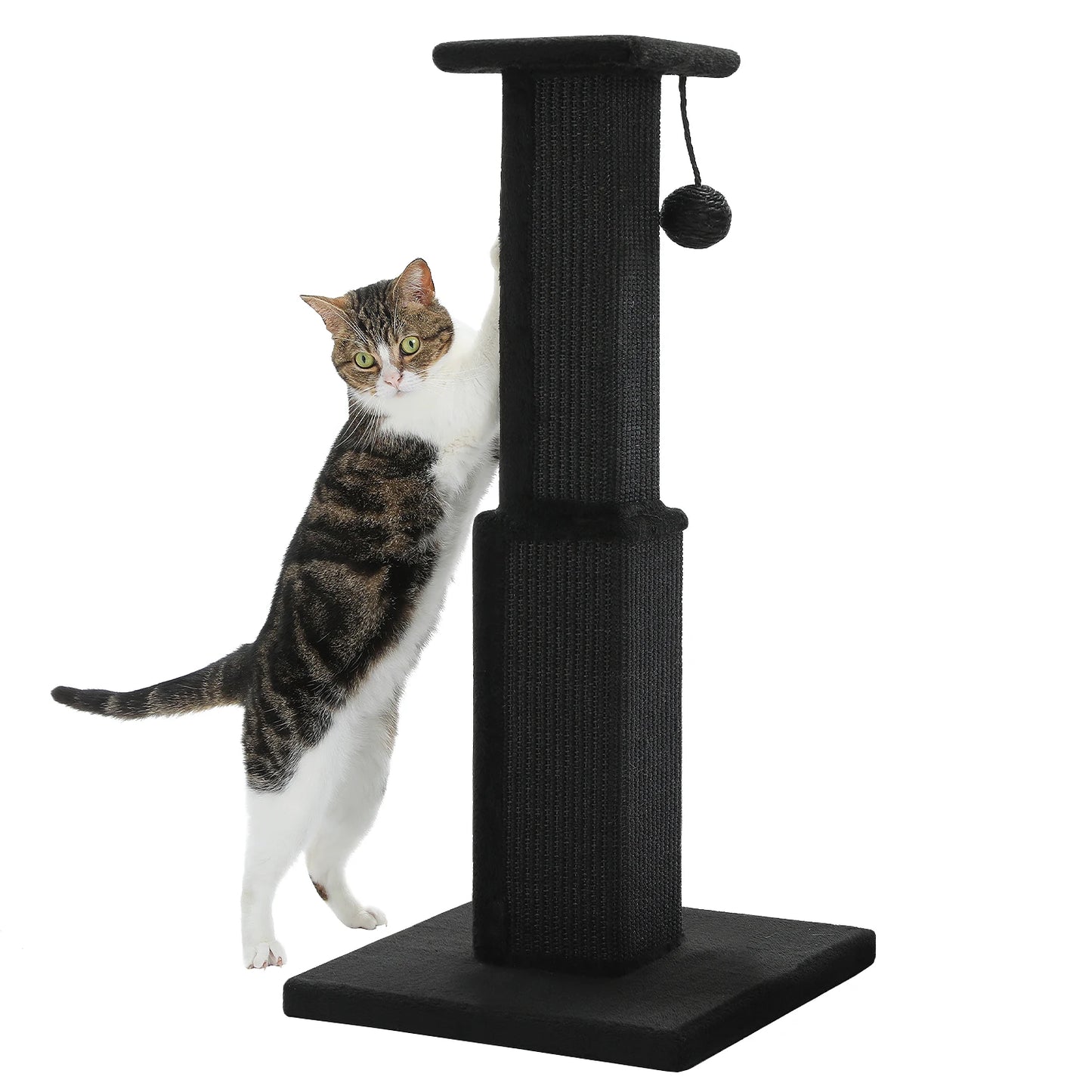 80cm Cat Scratching Post For Indoor Cats With Sisal Ball