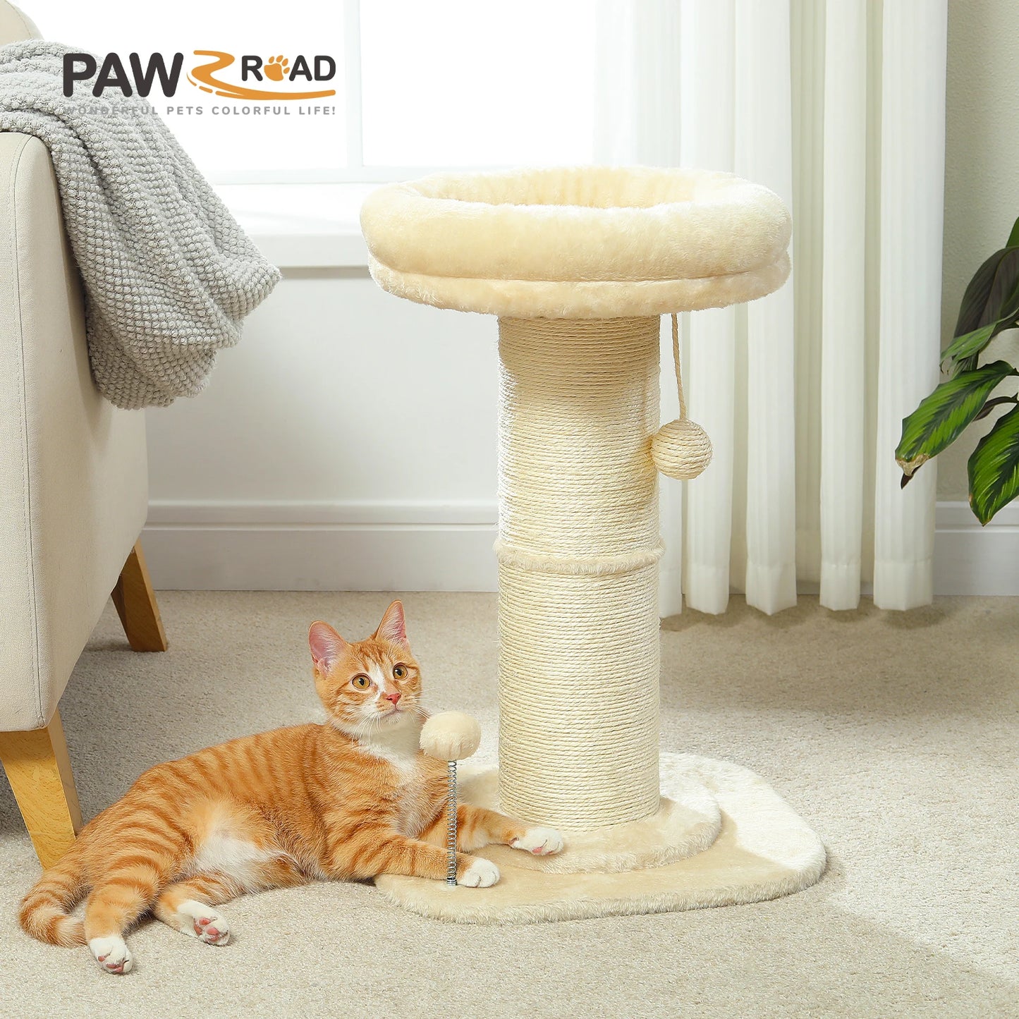 PAWZ Road Flower Cat Scratching Post With Removable Bed