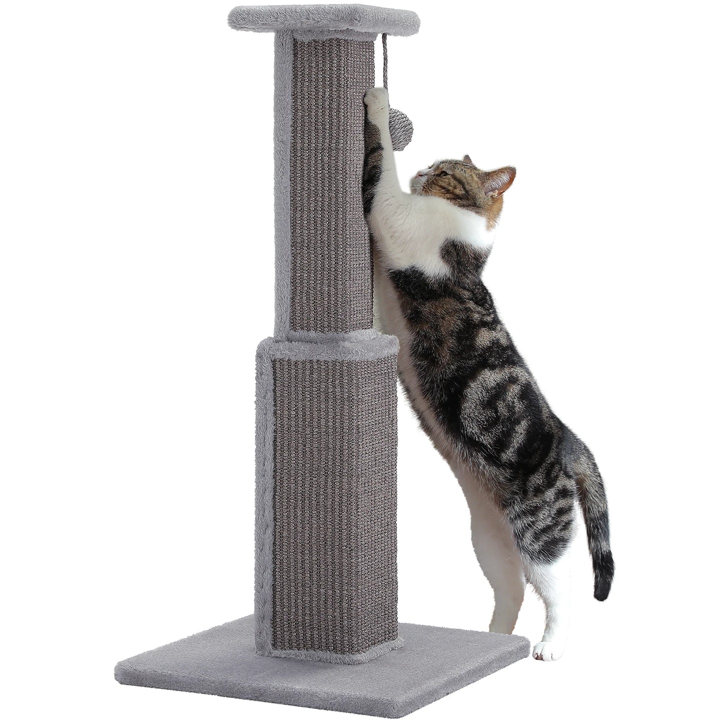 80cm Cat Scratching Post For Indoor Cats With Sisal Ball