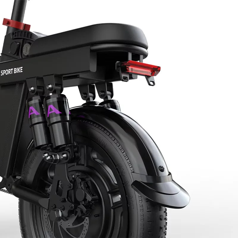 G16 Electric Bicycle 1000W Motor 48V 20Ah Battery Pack