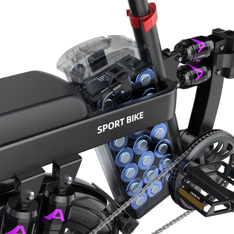 G16 Electric Bicycle 1000W Motor 48V 20Ah Battery Pack