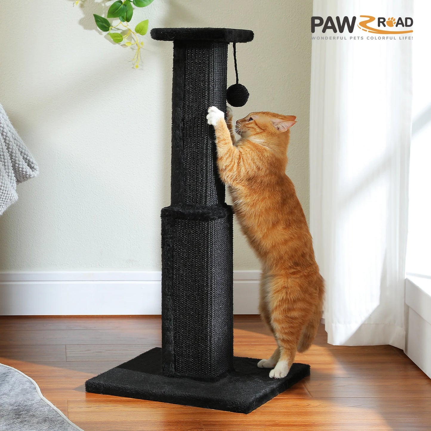 80cm Cat Scratching Post For Indoor Cats With Sisal Ball