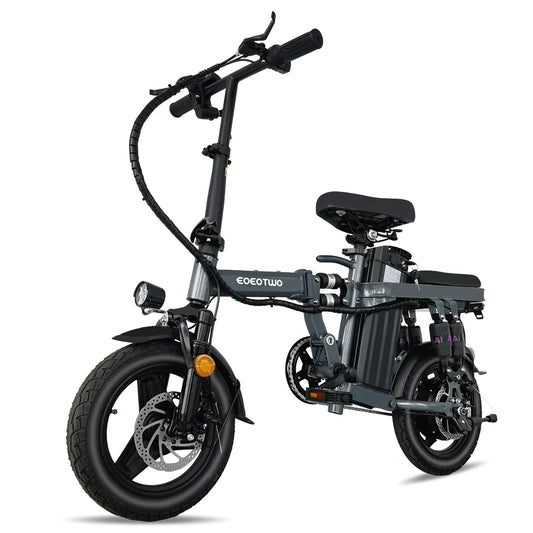 Electric Folding Bike for Adults with 600W Peak Motor