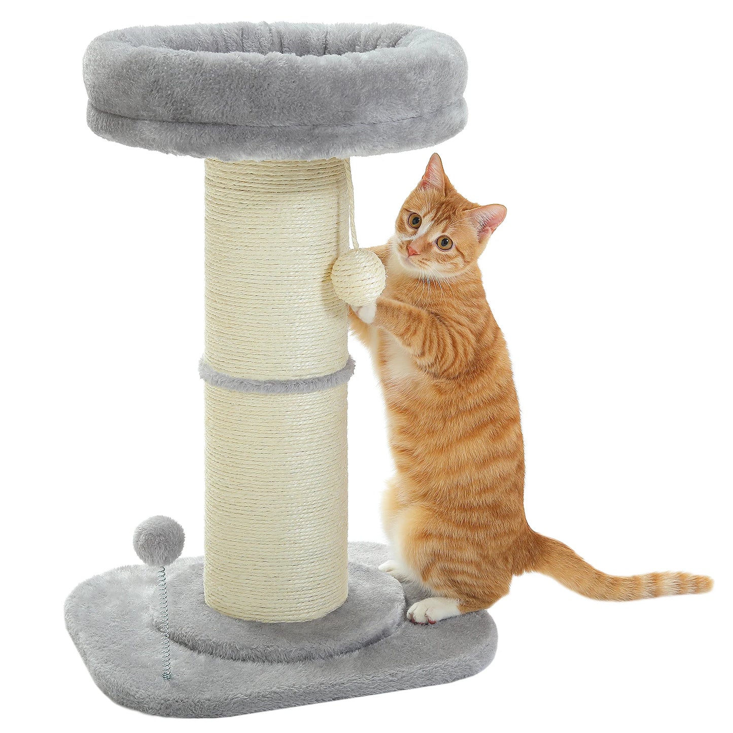 PAWZ Road Flower Cat Scratching Post With Removable Bed